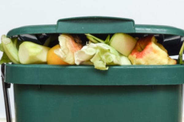 A green food waste bin with food in it