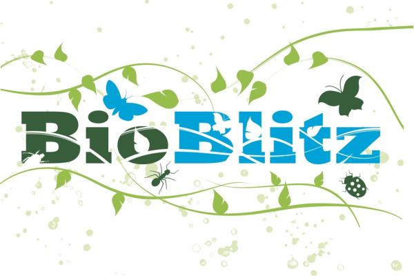 BioBlitz logo