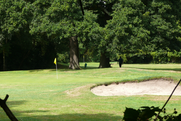 Golf course at Frimley Lodge Park