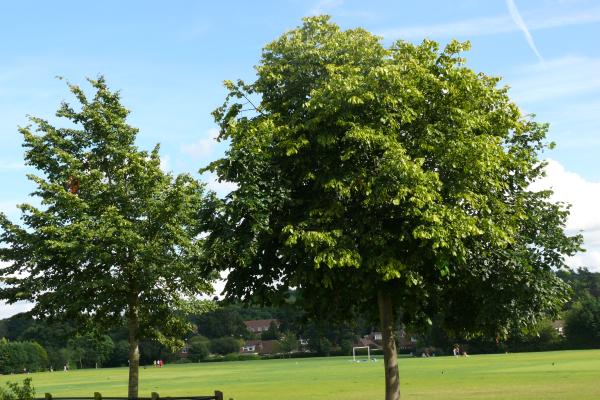 Photograph of Frimley Green Recreation Ground.