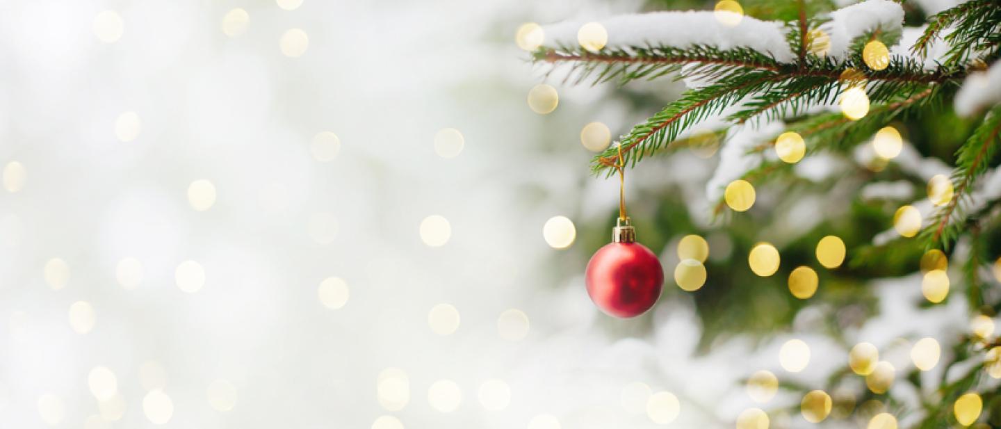 Close up of a Christmas tree branch with a snowy background